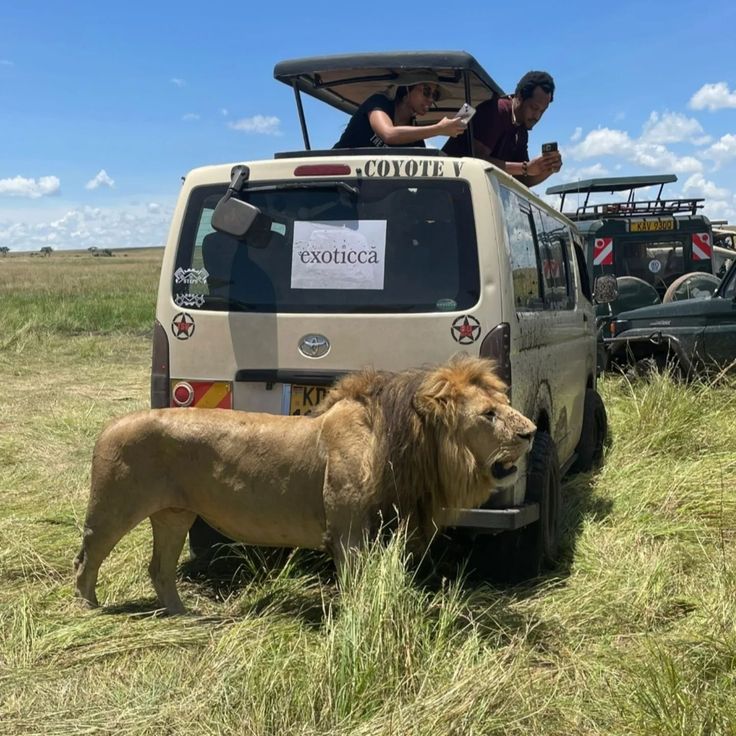 Safari Van rental in Uganda