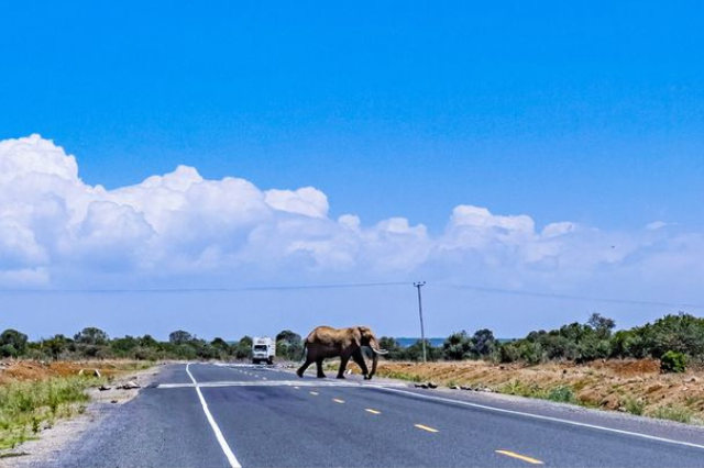 car hire in Uganda - long term car rental