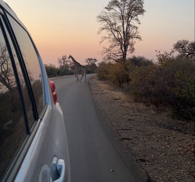 Top 5 ways to Save Money on rental cars in Uganda