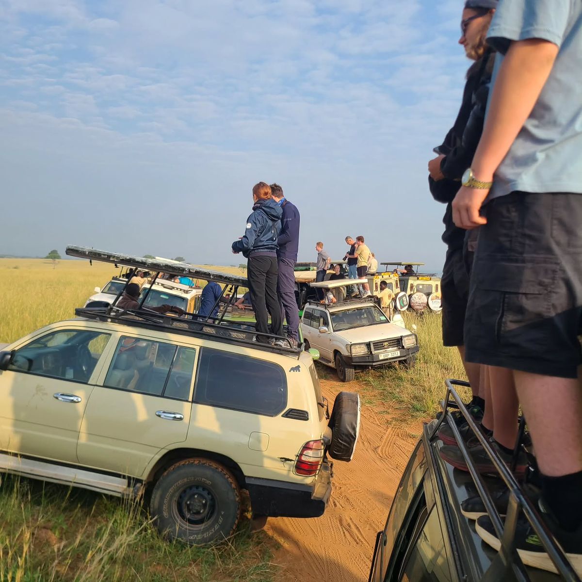 Cost of self drive in Uganda