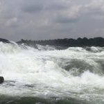 Top 5 Most Booked Uganda safaris