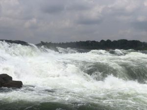 Read more about the article Top 5 Most Booked Uganda safaris