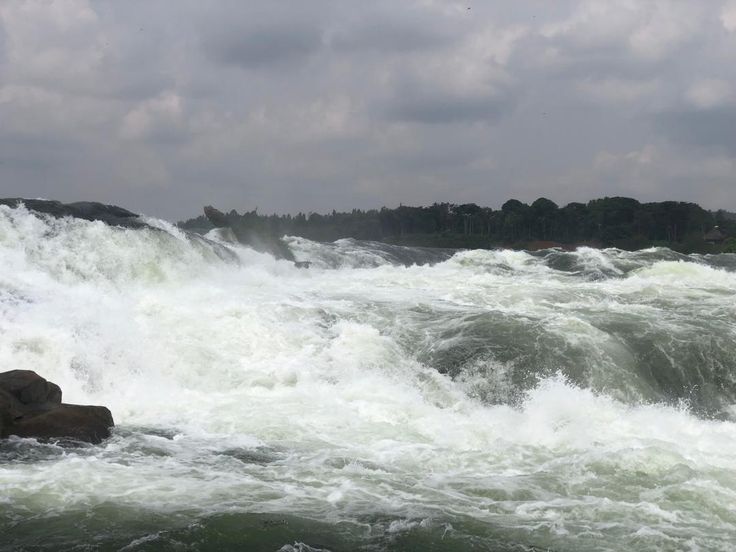 Top 5 Most Booked Uganda safaris