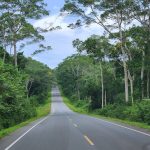 Best time to Visit Uganda