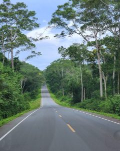 Read more about the article Best time to Visit Uganda