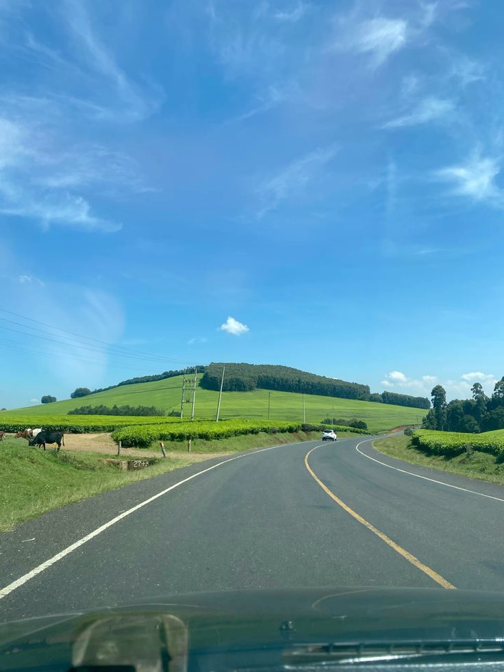 Best time to visit Uganda