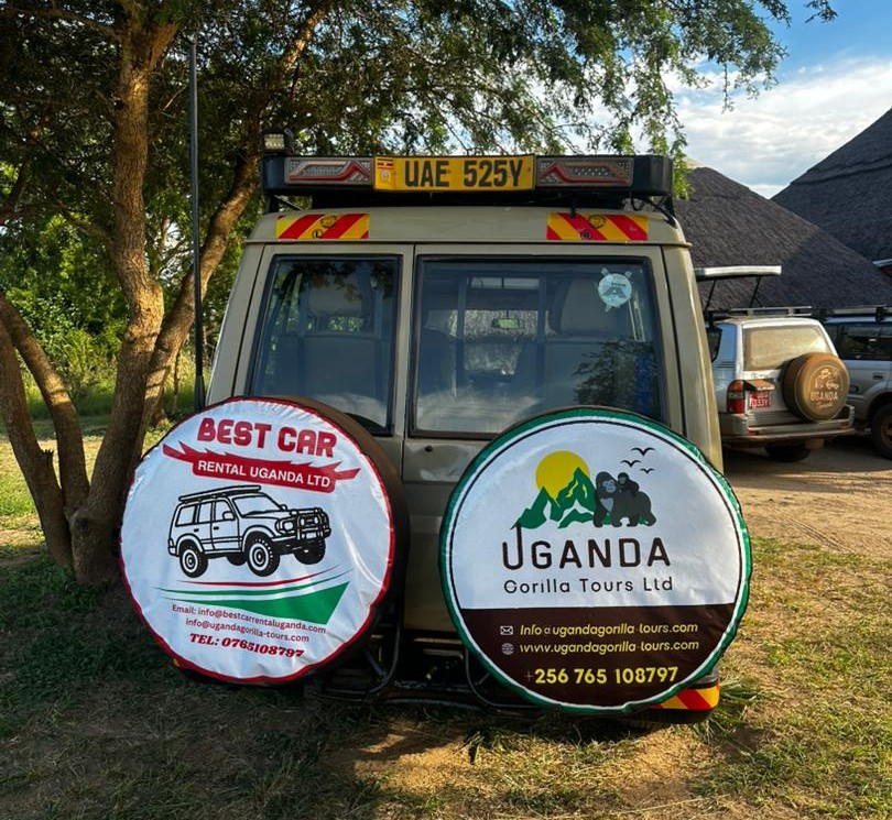 How to Secure Your Gorilla Permit and Your 4×4 Rental car In Uganda