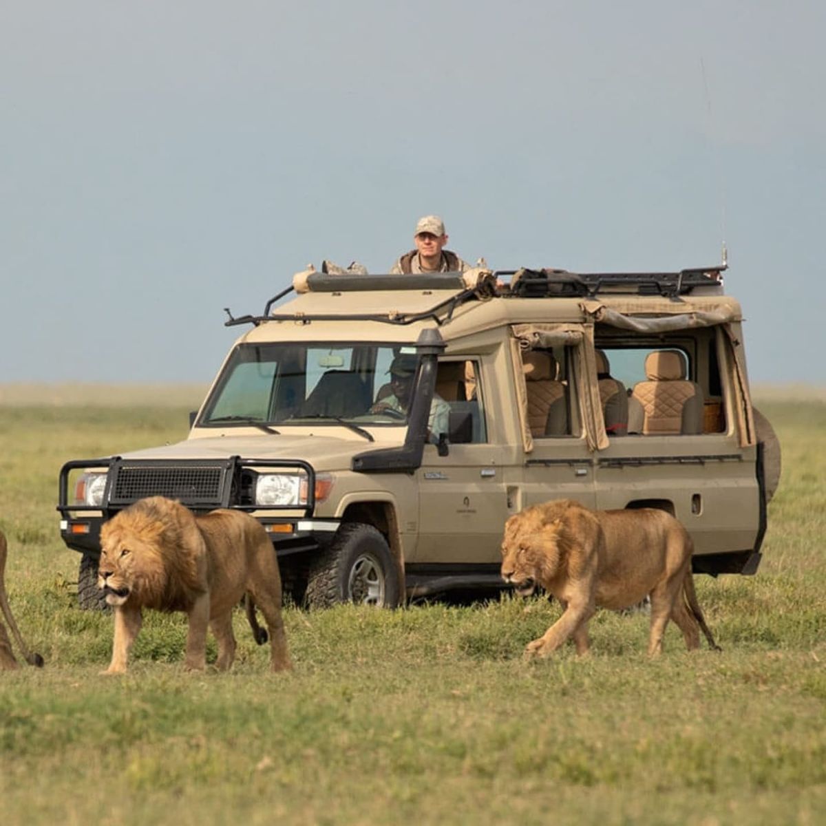 13 Days Best of Uganda self drive safari