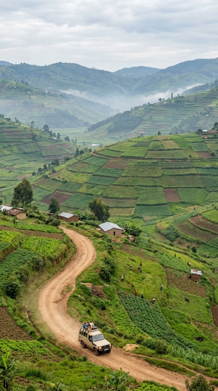 Best 4×4 Cars for a Bwindi Road Trip: The Ultimate Car rental Uganda Guide for Gorilla Trekking trips